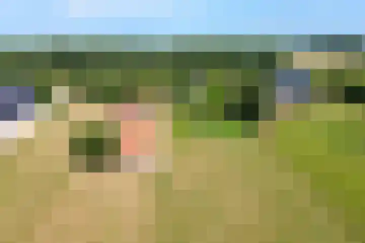 Rijndijk 41 Doornenburg thumbnail 4