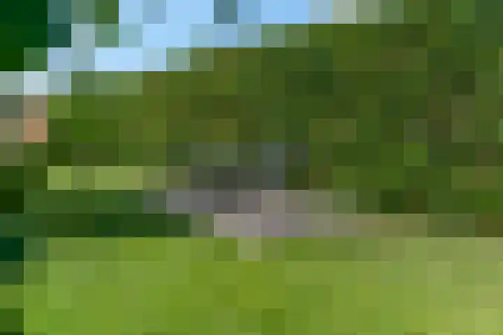 Rijndijk 41 Doornenburg thumbnail 48