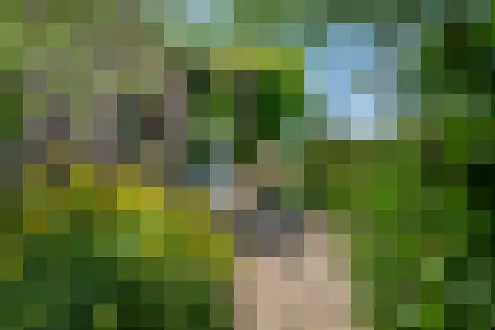 Rijndijk 41 Doornenburg thumbnail 49
