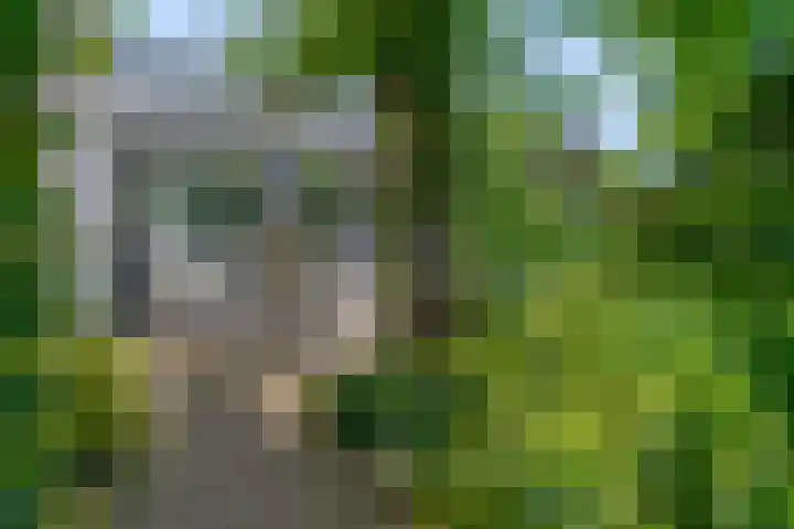 Rijndijk 41 Doornenburg thumbnail 50