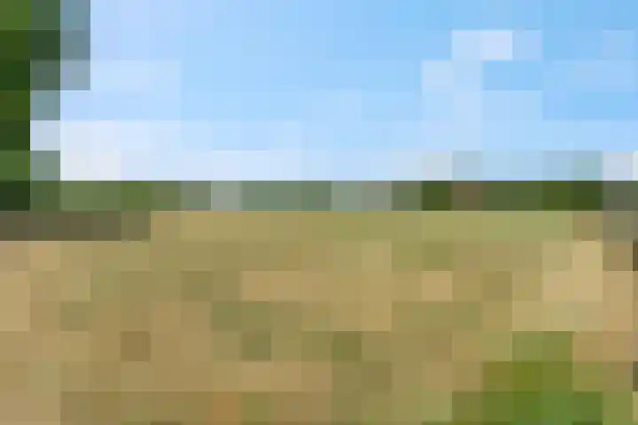 Rijndijk 41 Doornenburg thumbnail 54