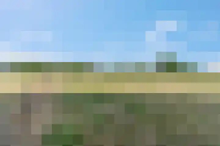 Rijndijk 41 Doornenburg thumbnail 55