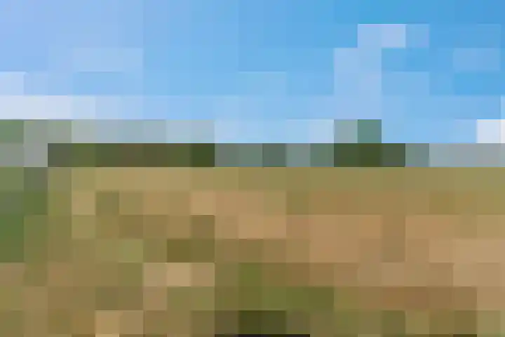 Rijndijk 41 Doornenburg thumbnail 56
