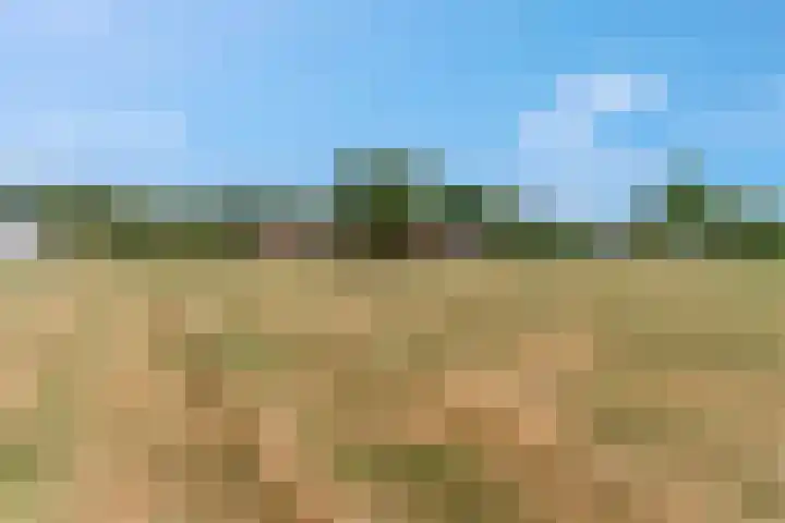 Rijndijk 41 Doornenburg thumbnail 57