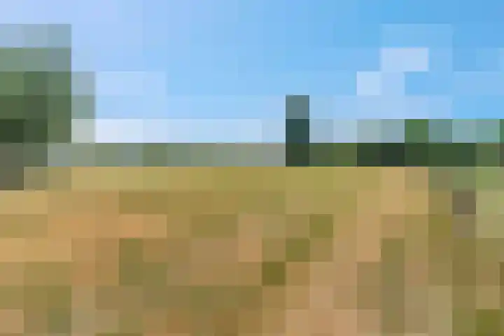 Rijndijk 41 Doornenburg thumbnail 58