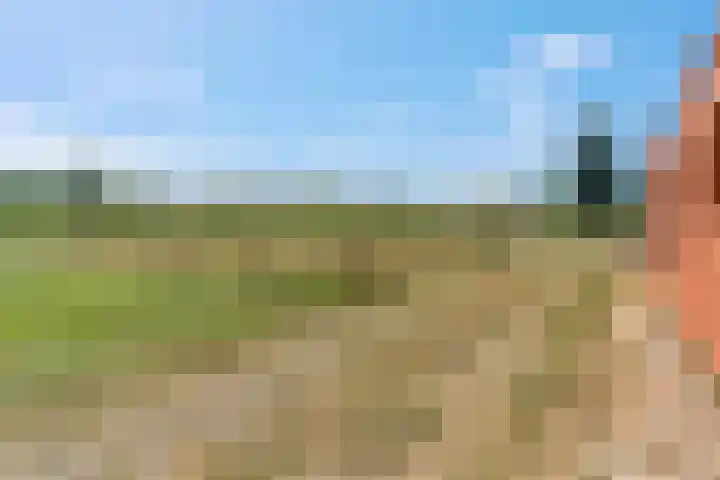 Rijndijk 41 Doornenburg thumbnail 59