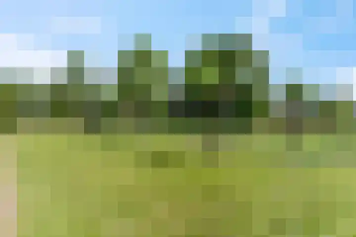 Rijndijk 41 Doornenburg thumbnail 60