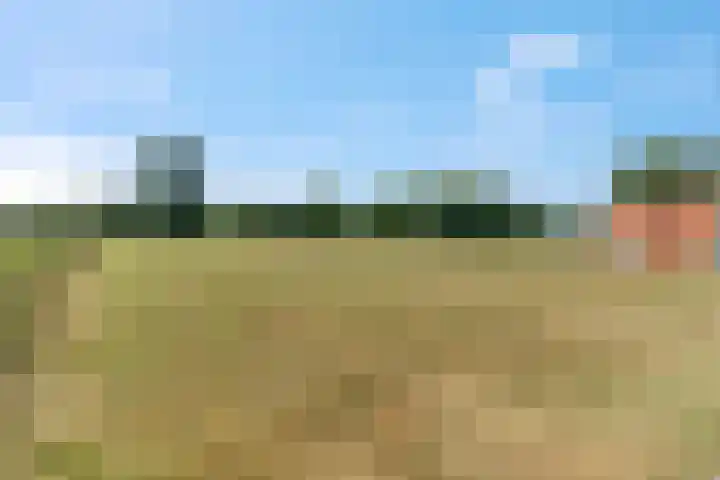 Rijndijk 41 Doornenburg thumbnail 61