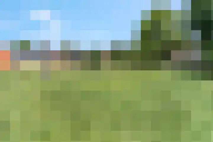 Rijndijk 41 Doornenburg thumbnail 62