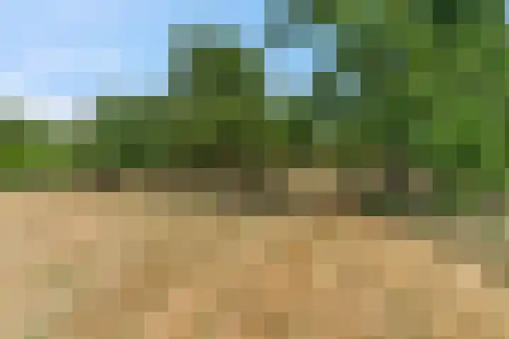 Rijndijk 41 Doornenburg thumbnail 66