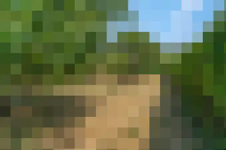 Rijndijk 41 Doornenburg thumbnail 67