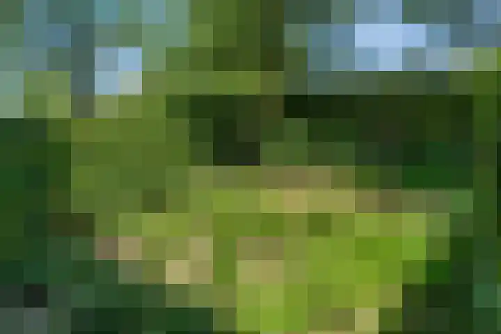 Rijndijk 41 Doornenburg thumbnail 68