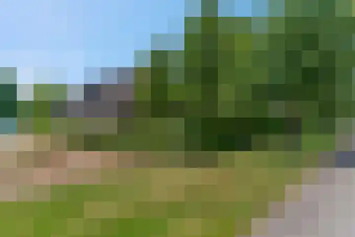 Rijndijk 41 Doornenburg thumbnail 69