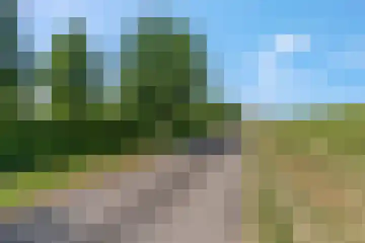 Rijndijk 41 Doornenburg thumbnail 70