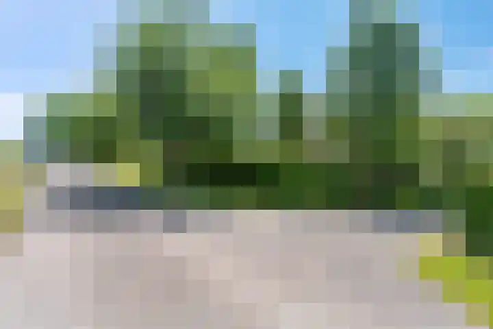 Rijndijk 41 Doornenburg thumbnail 71
