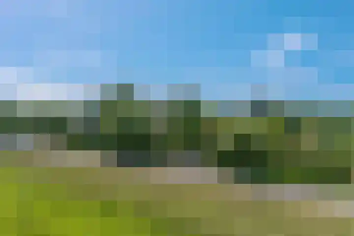 Rijndijk 41 Doornenburg thumbnail 72