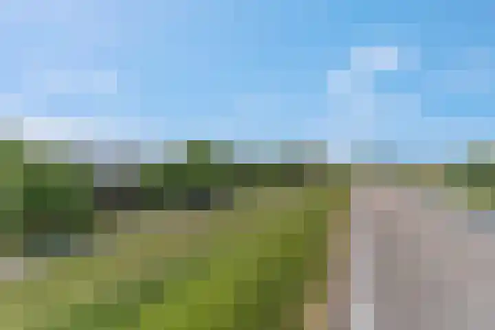 Rijndijk 41 Doornenburg thumbnail 73