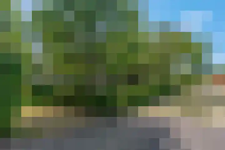 Rijndijk 41 Doornenburg thumbnail 74