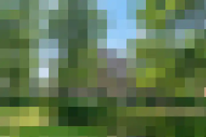 Rijndijk 41 Doornenburg thumbnail 75