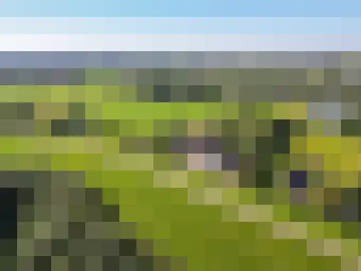 Rijndijk 43 a Doornenburg thumbnail 99