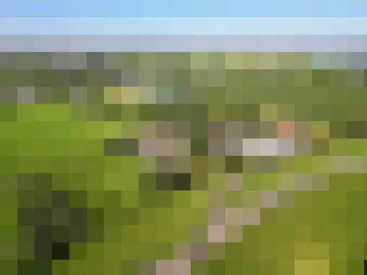 Rijndijk 43 a Doornenburg thumbnail 100