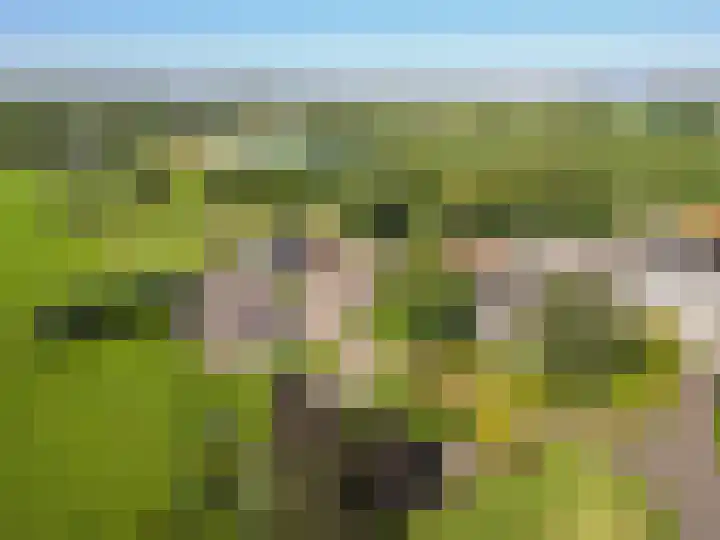 Rijndijk 43 a Doornenburg thumbnail 101
