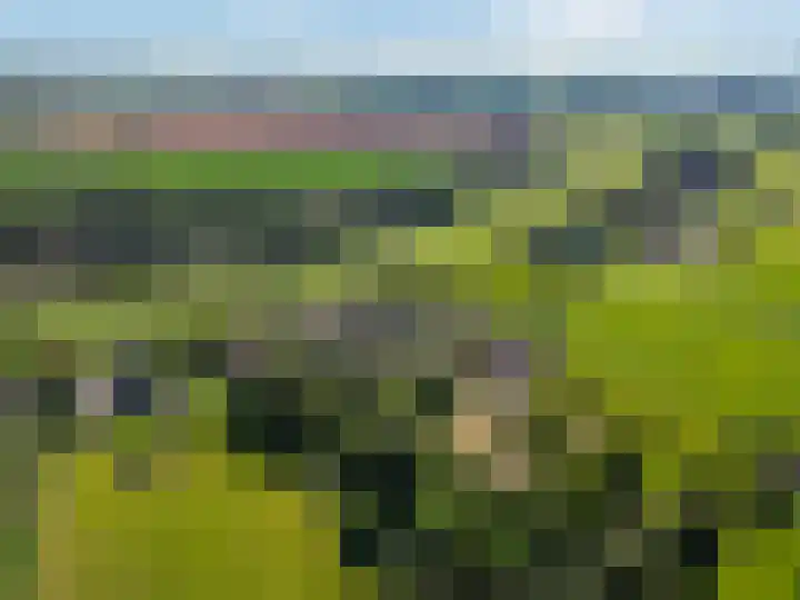 Rijndijk 43 a Doornenburg thumbnail 104