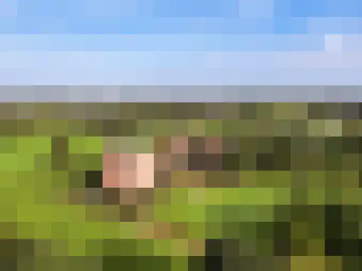 Rijndijk 43 a Doornenburg thumbnail 105
