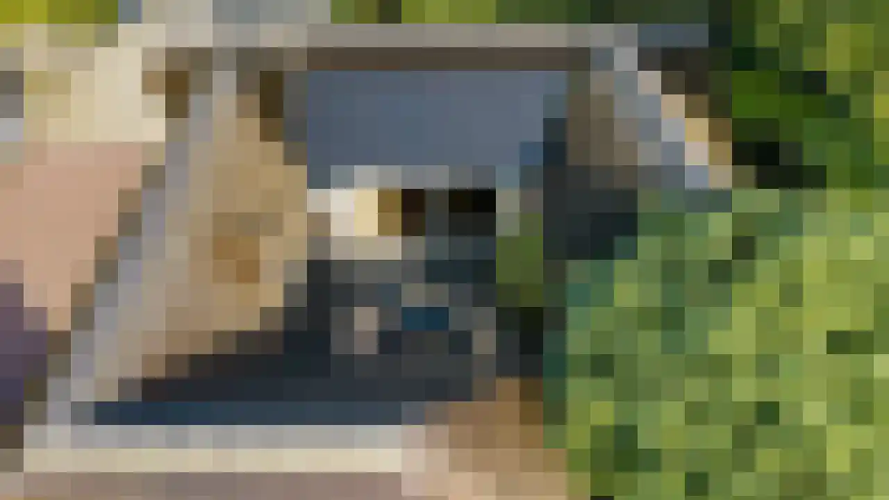 Rijndijk 43 a Doornenburg thumbnail 19