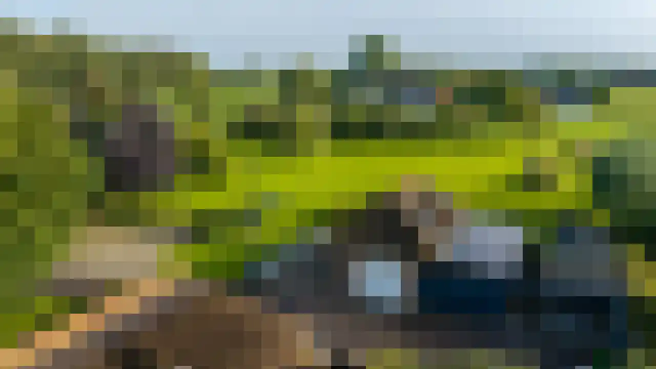 Rijndijk 43 a Doornenburg thumbnail 41