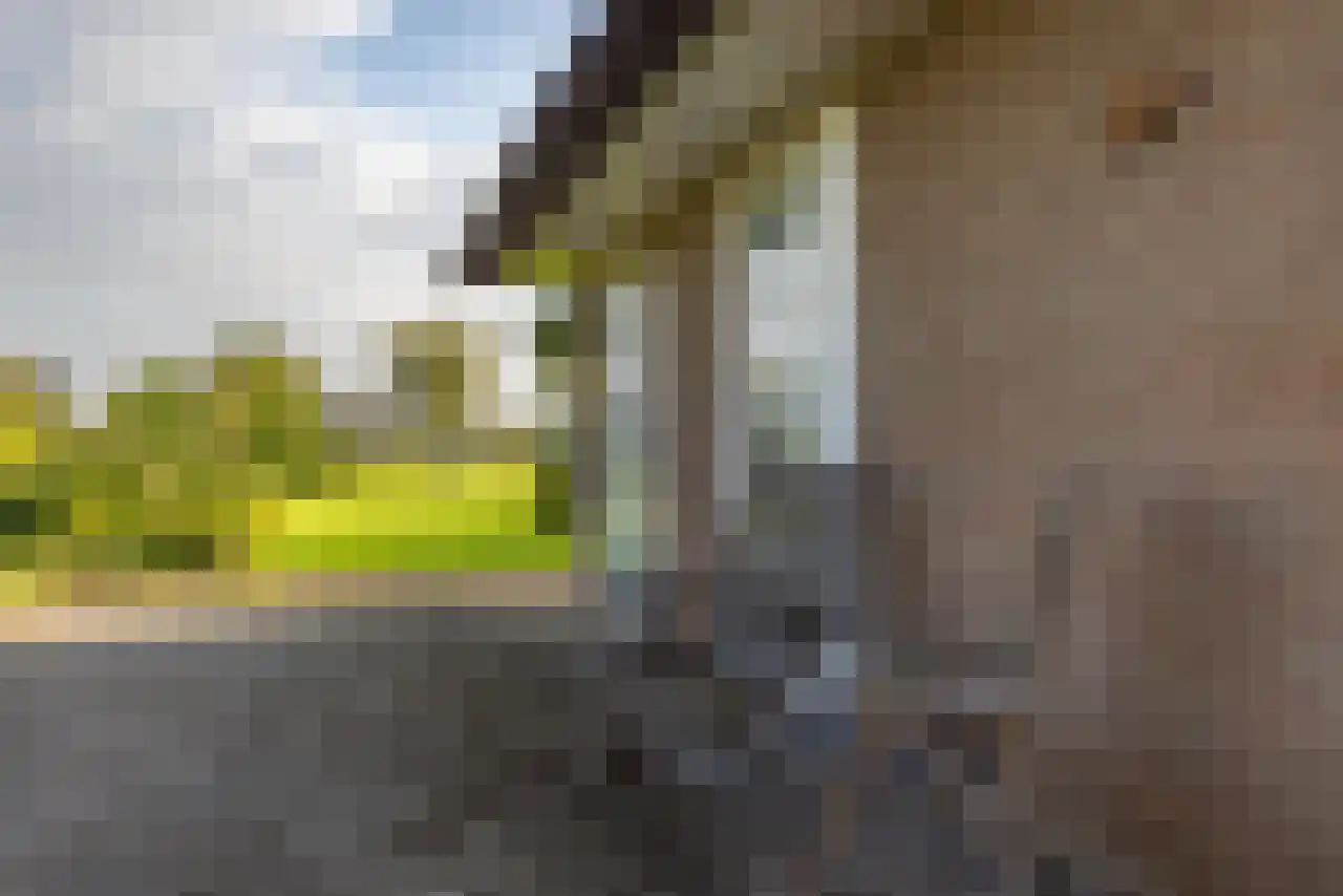 Rijndijk 43 a Doornenburg thumbnail 45