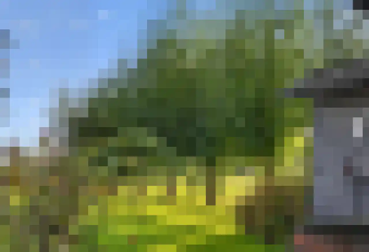 Rijndijk 43 a Doornenburg thumbnail 48