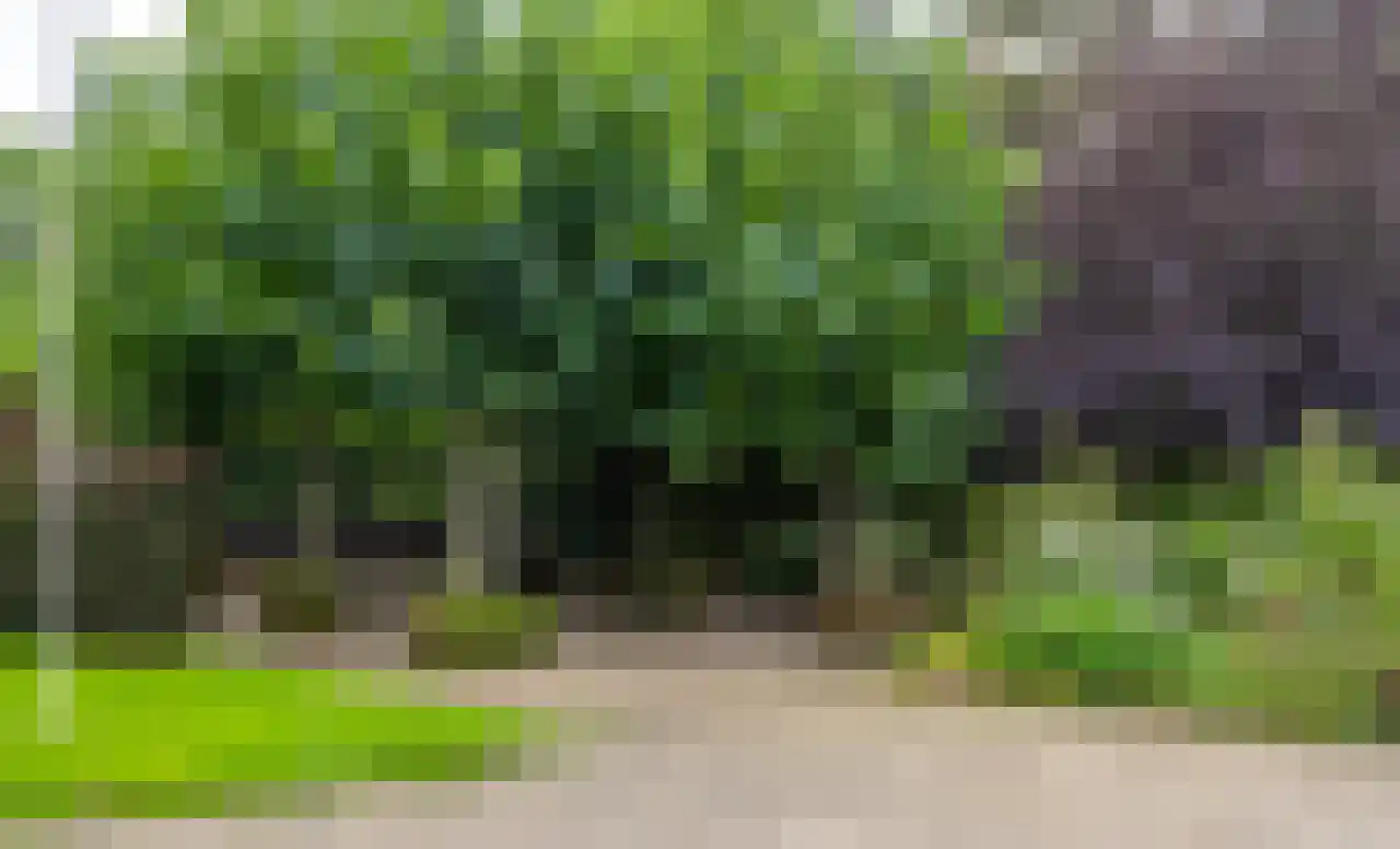 Rijndijk 43 a Doornenburg thumbnail 49