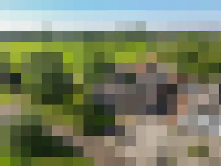 Rijndijk 43 a Doornenburg thumbnail 5