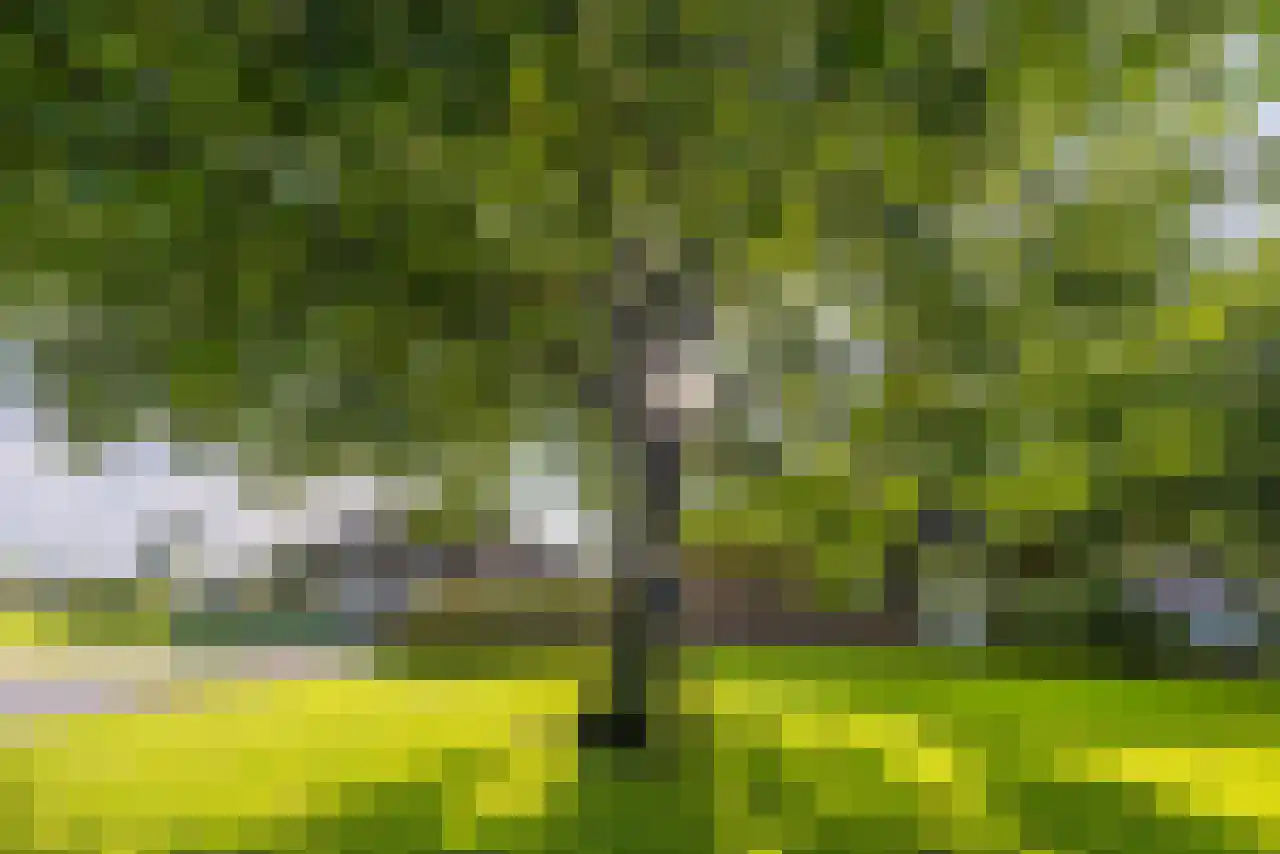 Rijndijk 43 a Doornenburg thumbnail 50