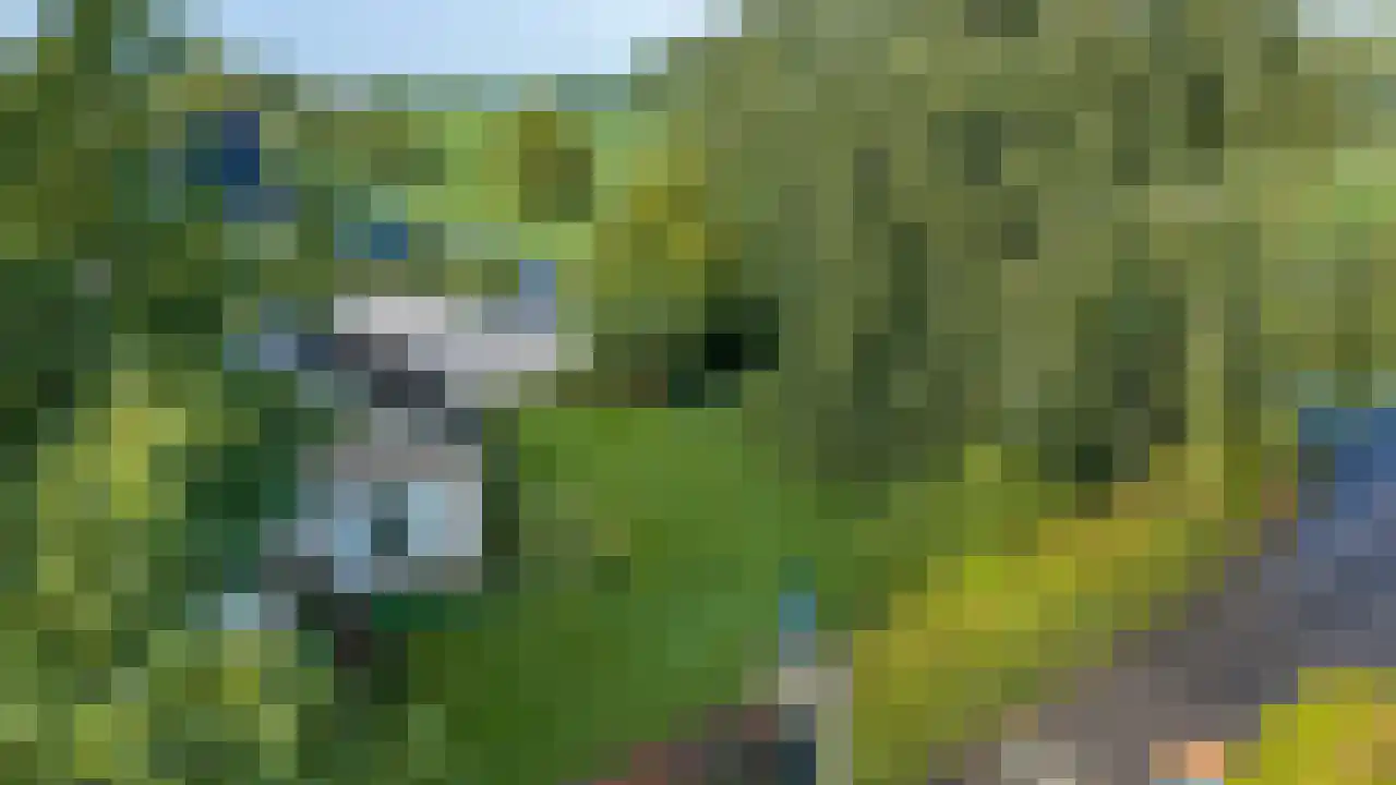 Rijndijk 43 a Doornenburg thumbnail 52
