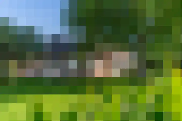 Rijndijk 43 a Doornenburg thumbnail 54