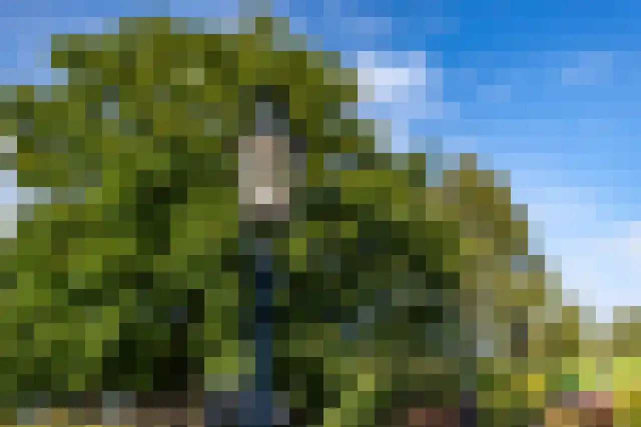 Rijndijk 43 a Doornenburg thumbnail 54