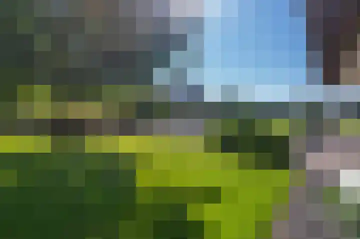 Rijndijk 43 a Doornenburg thumbnail 55