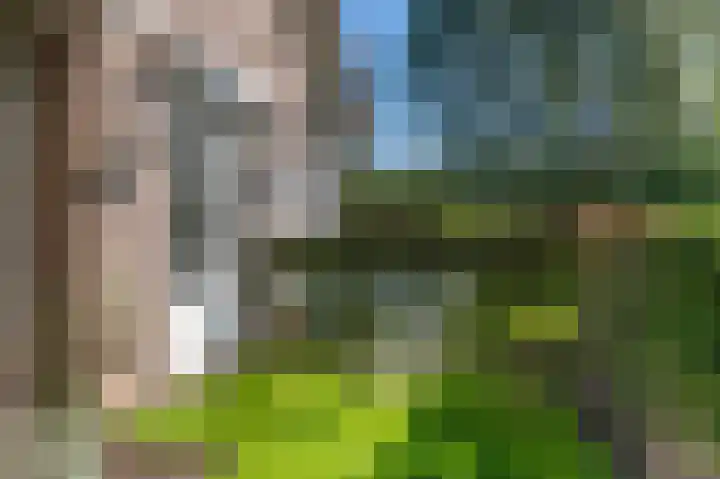Rijndijk 43 a Doornenburg thumbnail 56