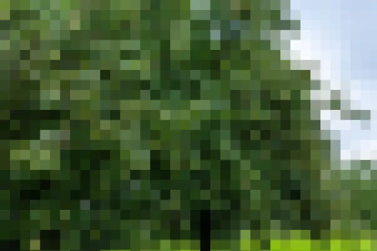 Rijndijk 43 a Doornenburg thumbnail 58