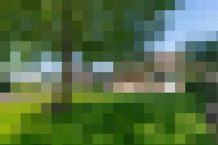 Rijndijk 43 a Doornenburg thumbnail 58
