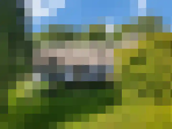 Rijndijk 43 a Doornenburg thumbnail 6