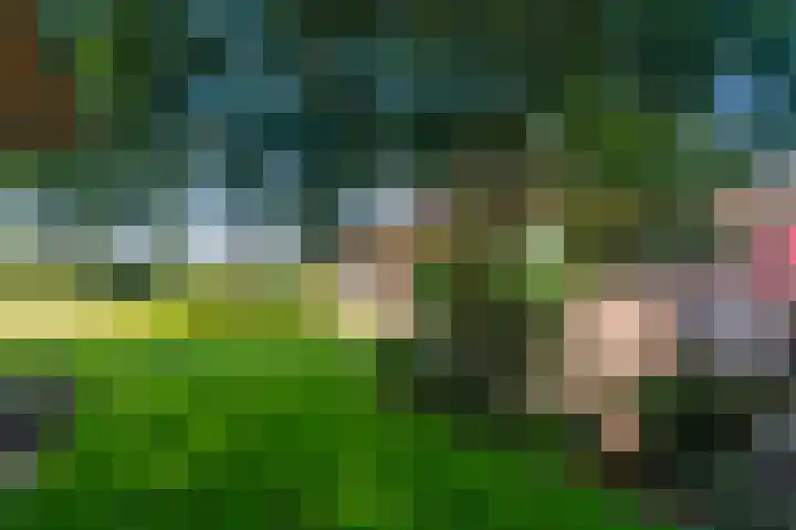 Rijndijk 43 a Doornenburg thumbnail 61