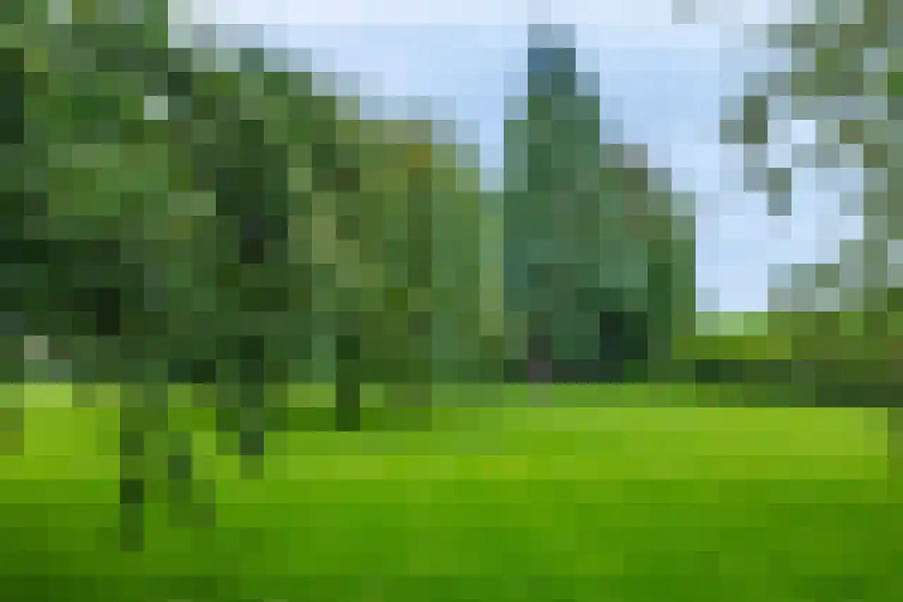 Rijndijk 43 a Doornenburg thumbnail 62