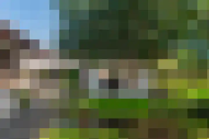 Rijndijk 43 a Doornenburg thumbnail 63