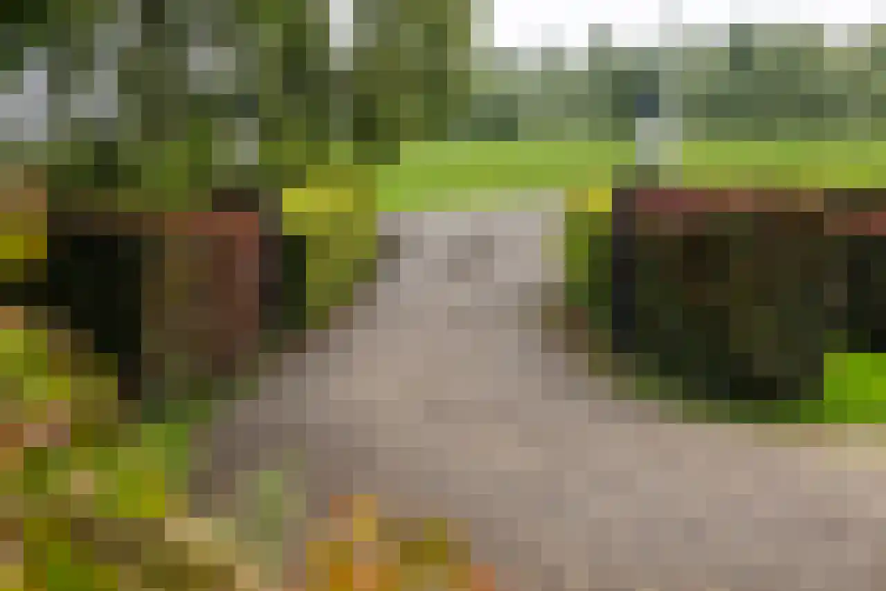 Rijndijk 43 a Doornenburg thumbnail 64