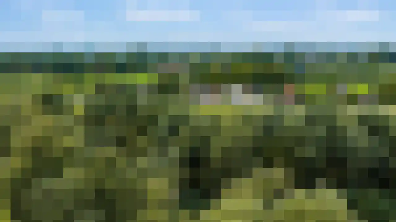 Rijndijk 43 a Doornenburg thumbnail 66