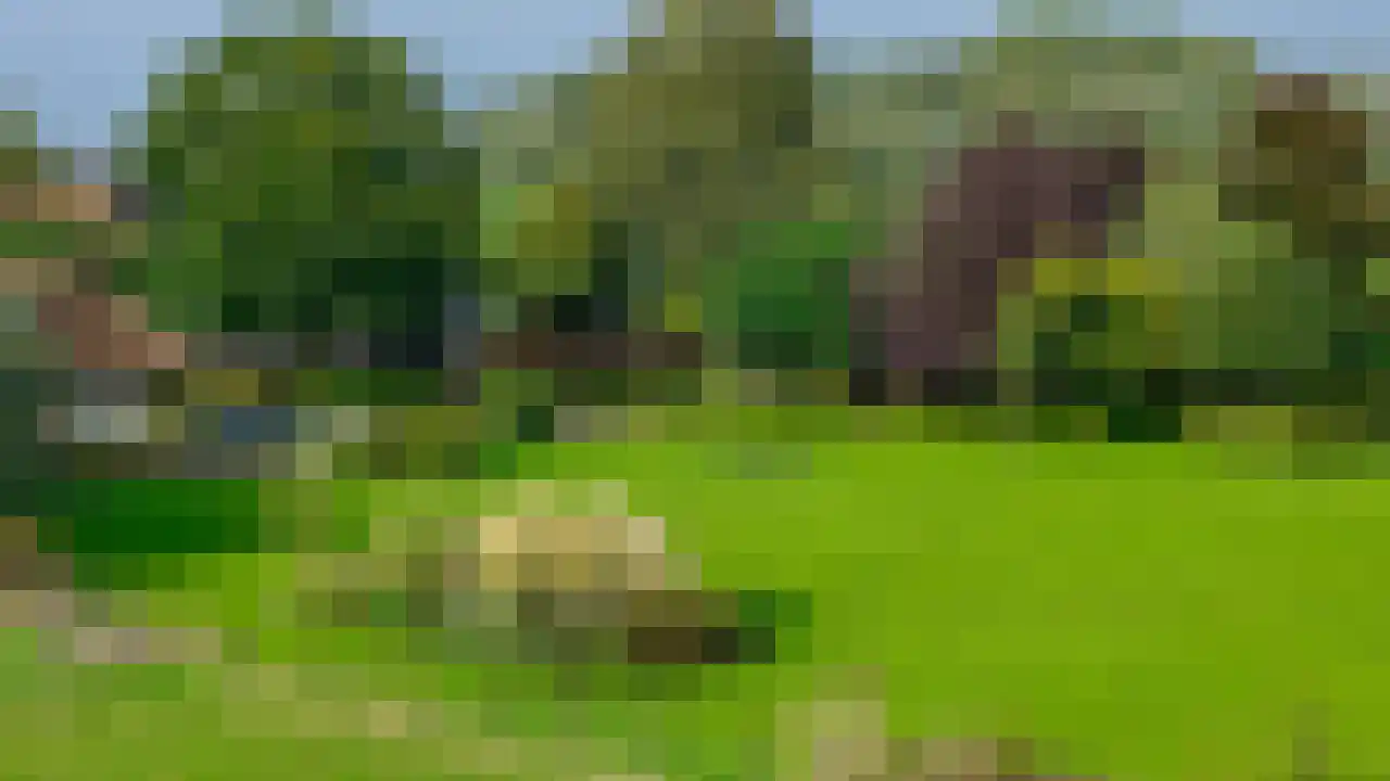 Rijndijk 43 a Doornenburg thumbnail 68