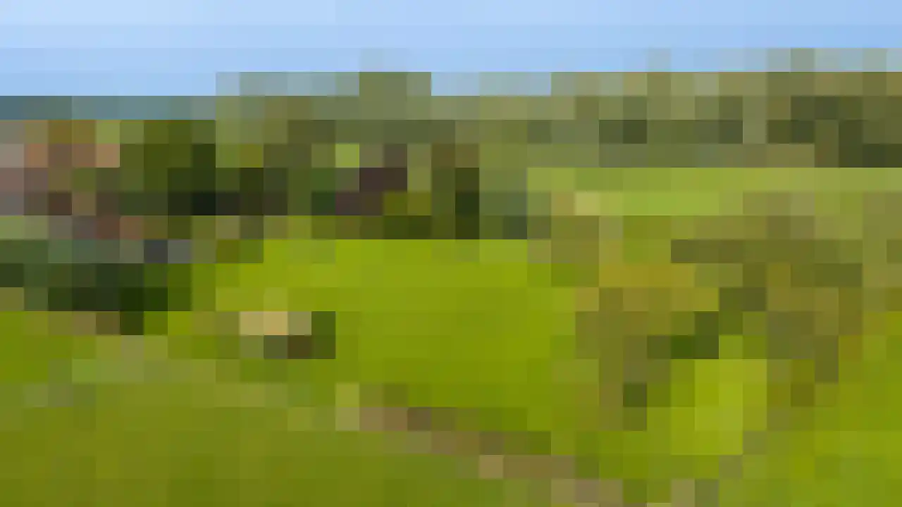 Rijndijk 43 a Doornenburg thumbnail 69